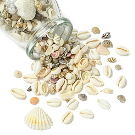Наборы для самостоятельного украшения витрин из ракушек, включают 100g натуральные бусины из смешанных ракушек, 10г натуральные бусины из смешанных драгоценных камней, 1 стеклянные бутылки из ПК, контейнеры для шариков