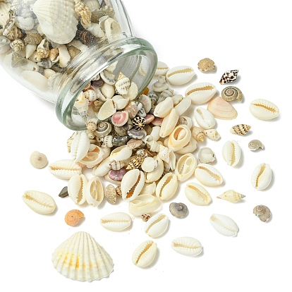Наборы для самостоятельного украшения витрин из ракушек, включают 100g натуральные бусины из смешанных ракушек, 10г натуральные бусины из смешанных драгоценных камней, 1 стеклянные бутылки из ПК, контейнеры для шариков
