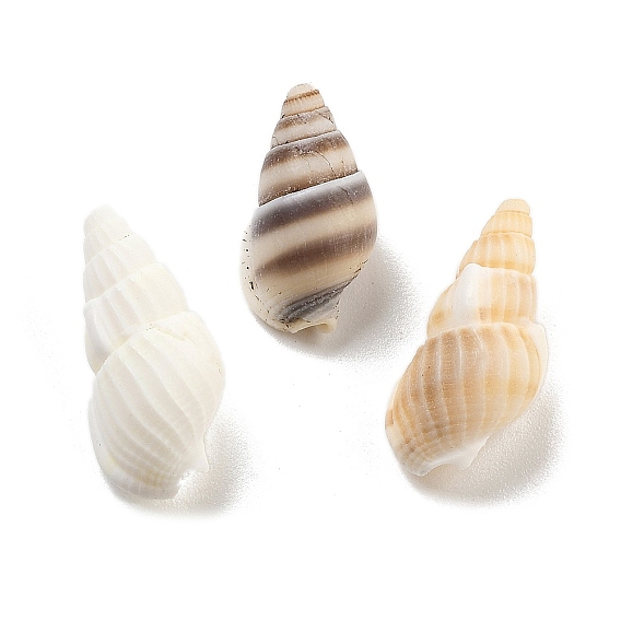 Естественно спиральные стеклянные бусы, Центр пробуренной, в форме раковины