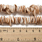 Natural Seashell Shell Beads Strands, Dyed, Nuggets