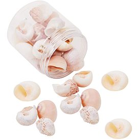 Conch Shell Pendants