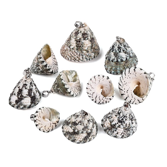 Brass & Natural Spiral Shell Pendants, Conch Charms