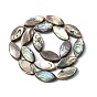 Natural Paua Shell Beads Strands, Horse Eye