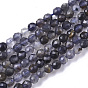 Natural Iolite/Cordierite/Dichroite Beads Strands, Faceted, Round