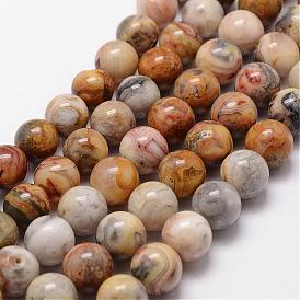 Natural Crazy Lace Agate Beads Strands, Round