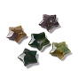 Natural Indian Agate Beads, No Hole/Undrilled Beads, Star