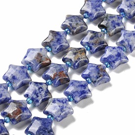 Natural Blue Spot Jasper Beads Strands, with Seed Beads, Puffed Star
