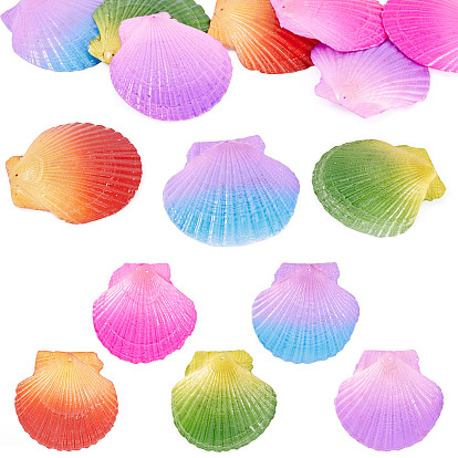 10 шт. 5 цвета, окрашенные распылением, большие подвески из натуральной ракушки гребешка, подвески в форме ракушек