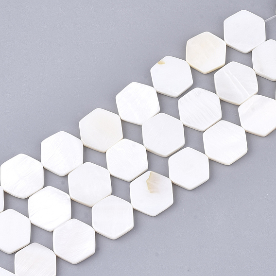 Freshwater Shell Beads Strands, Hexagon