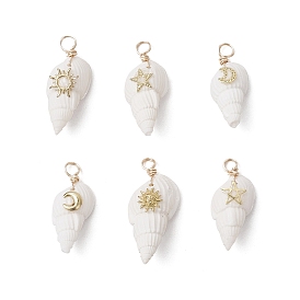 6шт 6 стили подвески из натуральных ракушек, подвески в форме ракушки с латунными дольками солнца, звезды и луны, золотые
