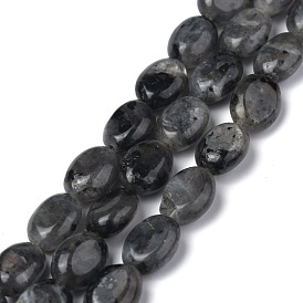 Brins de perles de larvikite noires naturelles, ovale