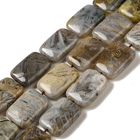 Natural Bamboo Leaf Agate Beads Strands, Rectangle