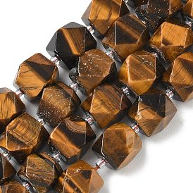 Natural Tiger Eye Beads Strands, Nuggets, Faceted, with Seed Beads