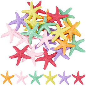 30Pcs 6 Colors Opaque Resin Cabochons, Starfish
