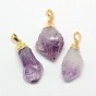 Natural Raw Rough Gemstone Amethyst Pendants, with Golden Plated Brass Findings, Irregular Nuggets, 20~38x13~22x12~27mm, Hole: 8x4mm