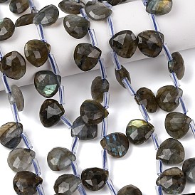 Природные лабрадорита бисер нитей, слеза, граненые, Топ пробуренной, с пластиковыми трубчатыми бусинами