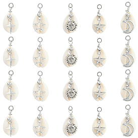 30 шт. подвески из натуральной ракушки каури и сплава, с медными ювелирными проволочными петлями, разнообразные, белые