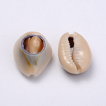Natural Cowrie Shell Beads, Oval