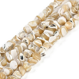 Natural Trochus Shell Beads Strands, Nuggets