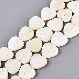 Heart Natural Sea Shell Beads Strands, 10~11x11~13x2~3mm, Hole: 0.5mm, about 35pcs/strand, 14.1 inch