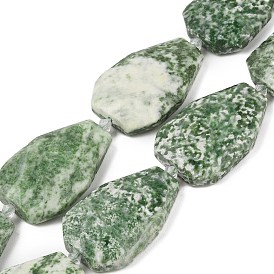 Natural Green Spot Jasper Beads Strands, Faceted Teardrop