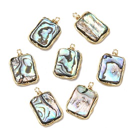 Natural Abalone Shell/Paua Shell Pendants, Copper Wire Wrapped Rectangle Charms
