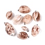 Brass & Natural Spiral Shell Pendants, Conch Charms