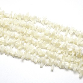 Natural White Shell Beads Strands, Mother of Pearl Shell Beads, Nuggets Chips, Dyed