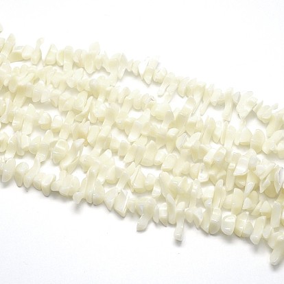 Natural White Shell Beads Strands, Mother of Pearl Shell Beads, Nuggets Chips, Dyed