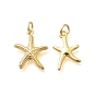 Латунные подвески, морская звезда, стойки покрытие, долговечный, без свинца и без кадмия