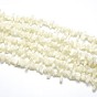 Natural White Shell Beads Strands, Mother of Pearl Shell Beads, Nuggets Chips, Dyed