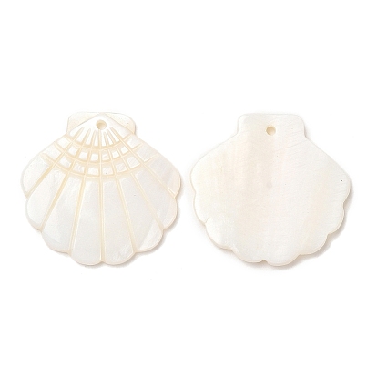 Natural Freshwater Shell Pendants, Shell Shaped Charms, Seashell Color