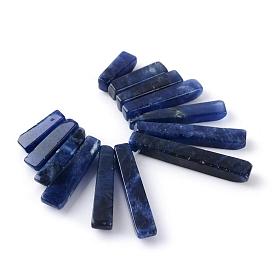 Natural Sodalite Pendants Sets, Dyed, Graduated Fan Pendants, Focal Beads, Rectangle