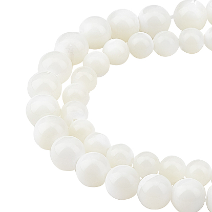 2 Strands 2 Style Natural Spiral Shell Beads Strands, Round