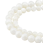 2 Strands 2 Style Natural Spiral Shell Beads Strands, Round