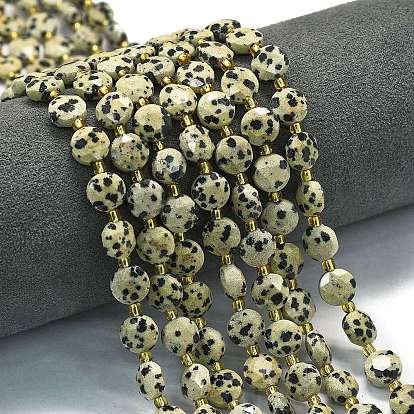 Природные яшмы далматин бисер нитей, граненый пятиугольный разрез, плоско-круглые, с бисером