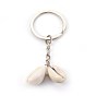 Cowrie Shell Keychain, with Iron Key Clasp