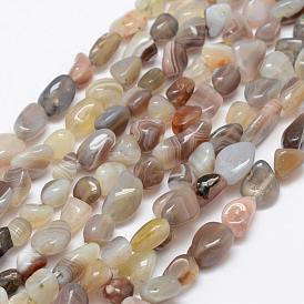 Natural Botswana Agate Beads Strands, Tumbled Stone, Nuggets