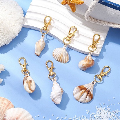 Акриловые имитация ракушек подвесные украшения, Поворотные застежки-когти-омары для украшения сумок