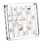 36 Grids Acrylic Shell Storage Box with Lid, Shell Organizer Display Case, Square