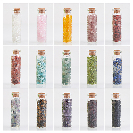 Glass Wishing Bottle, For Pendant Decoration, with Gemstone Chip Beads Inside and Cork Stopper