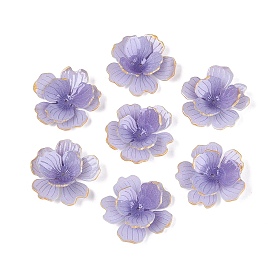Heat Shrink Acrylic Bead Caps, Multi-Petal Flower, with Golden Edge