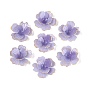 Capuchons de perles en acrylique thermorétractables, multi-pétale, avec bord doré