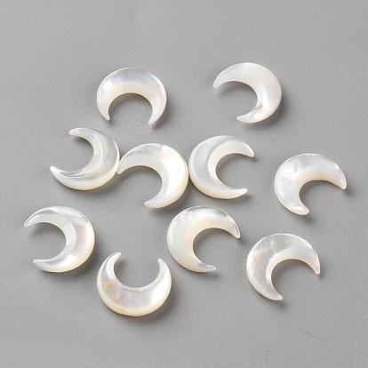 Natural White Shell Beads, No Hole/Undrilled, Moon