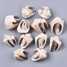 Perles de coquillage en spirale naturelle, perles non percées / sans trou