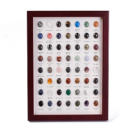 56 Styles Natural and Synthetic Mixed Gemstones Oval Collections, Photo Frame Display Decoration, for Earth Science Teaching