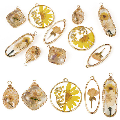 10шт 5 стили подвески из эпоксидной смолы, разнообразные, с использованием сплава и сушеных цветов.