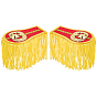 1 Pair Non-woven Fabrics & Polyester Tassel Epaulettes, Shoulder Badges, with Brooch