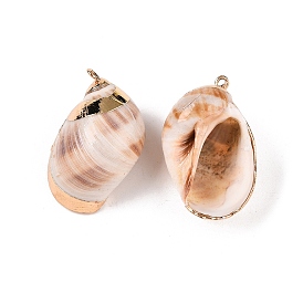 Natural Sea Shell Pendants, Shell Shaped Charms with Golden Tone Iron Loops