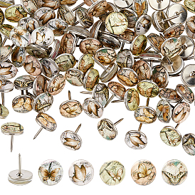 100 Stück Reißzwecken aus Eisen, mit Glas, Schmetterling, Platin Farbe